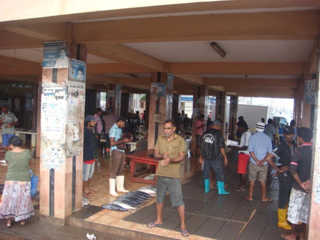 Randi Homestay In Negombo Exterior photo
